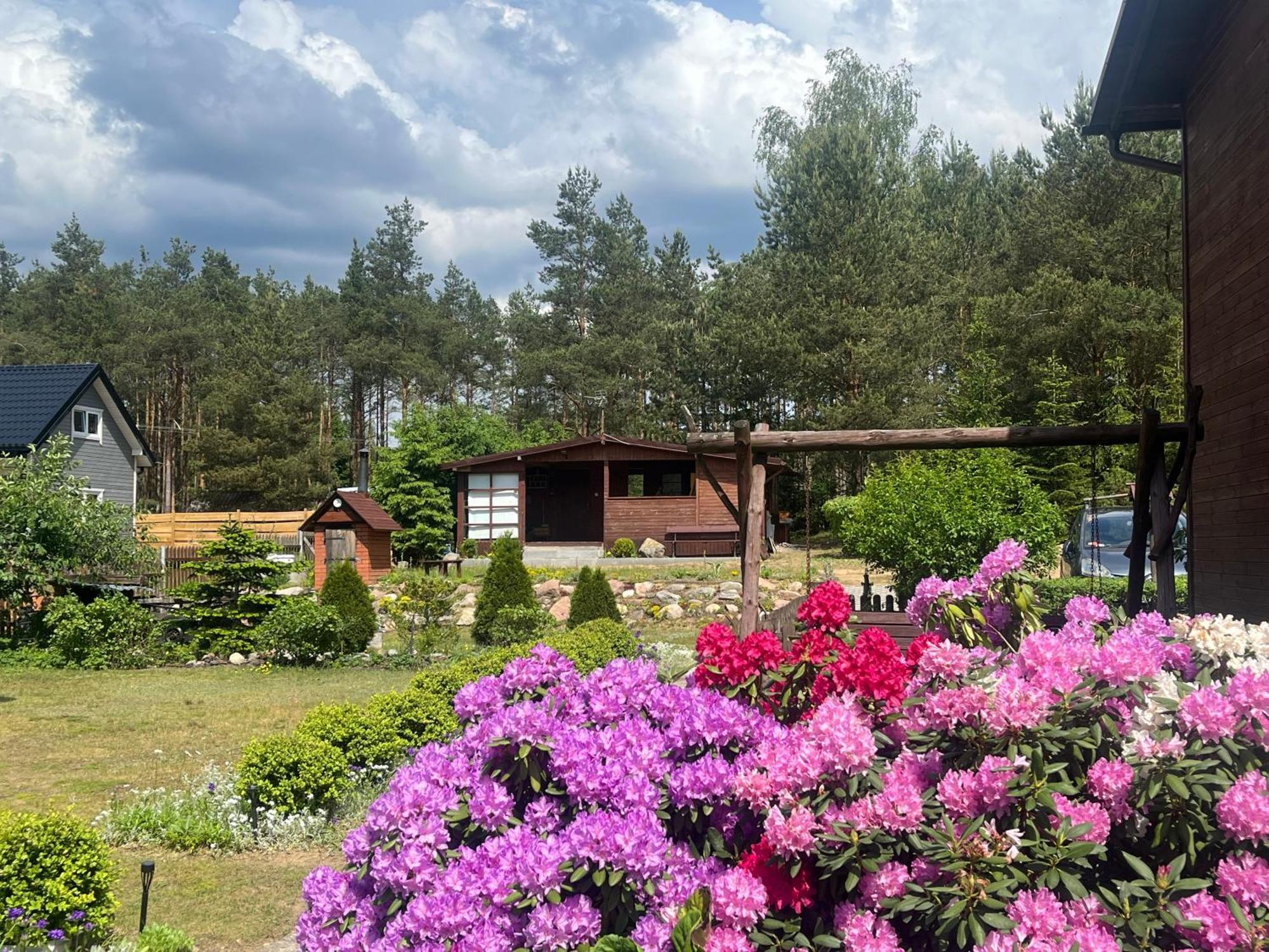 Domek Stas Wiele Exteriör bild